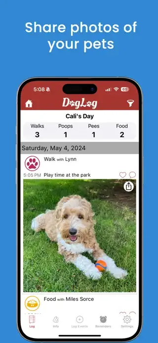 The unchanged DogLog shared photo feed within the proposed screenshot design.